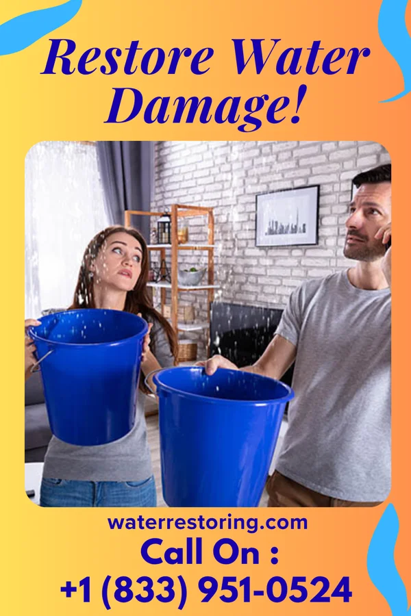 water restoration Prestige Drying Professionals Hughes