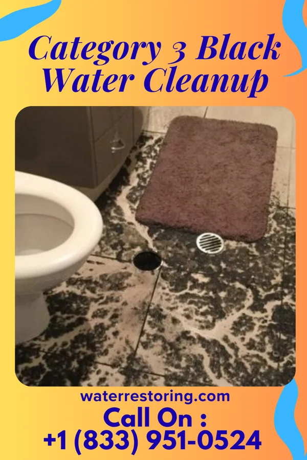 Category 3 Black Water Cleanup in Hughes, AR